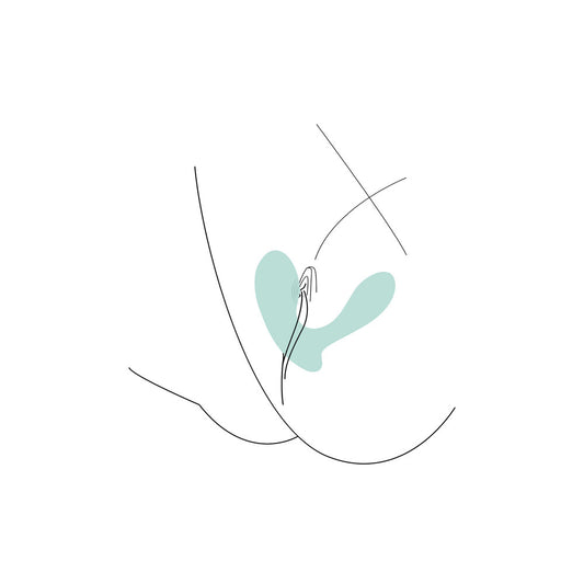 Line art of a vulva with a vibrator.