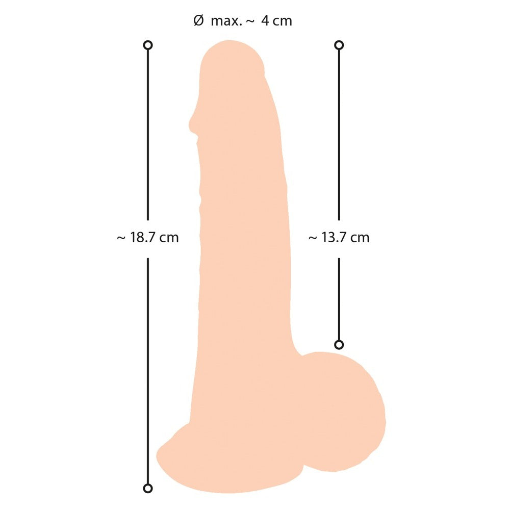 Realistic dildo with measurements graphic, including length and diameter.