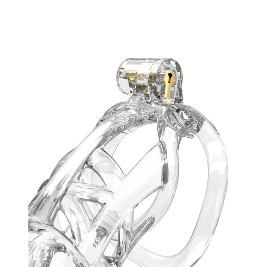 Transparent Rimba PCage PC11, a large chastity device with a visible gold lock. Control and confidence, unlocked.