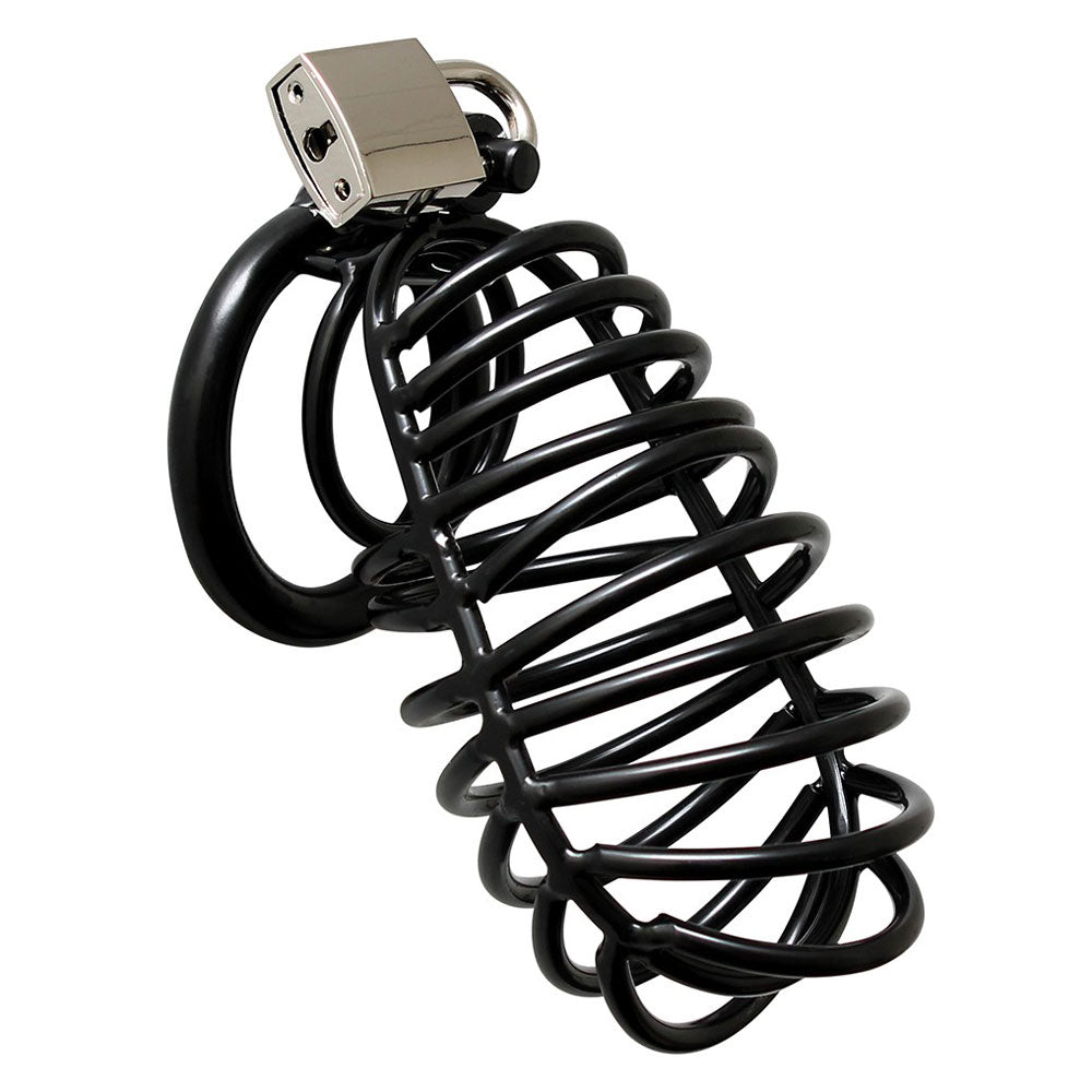 Locked in lustrous black: a coiled cage, a promise whispered in steel, a moment of exquisite power.
