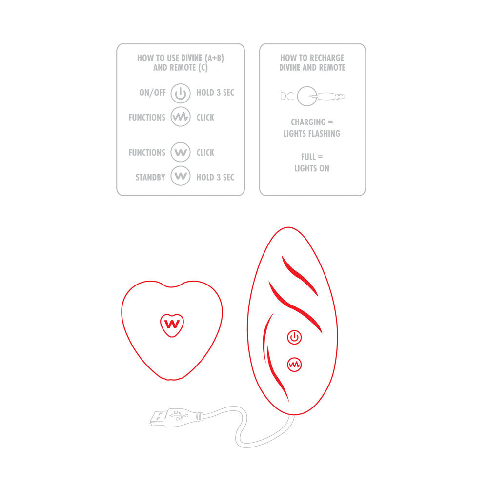 Instructions for ToyJoy's Divine Panty Vibe & remote control, including how to use and recharge.