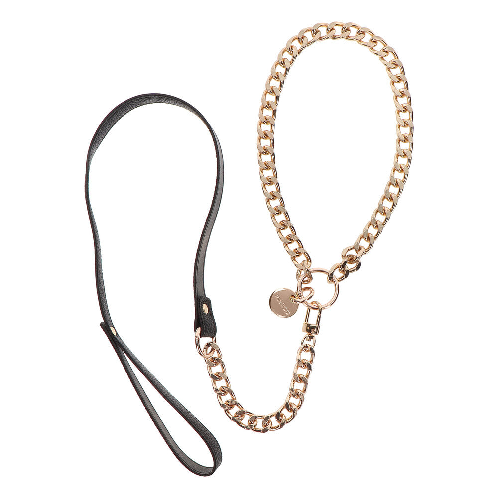 Taboom Dona collar and leash set. Gold-tone chain collar with a black leather leash.