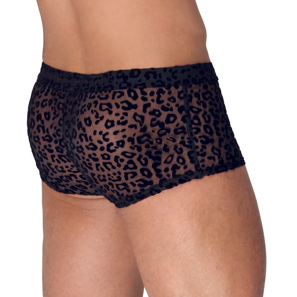 Noir sheer leopard print knickers