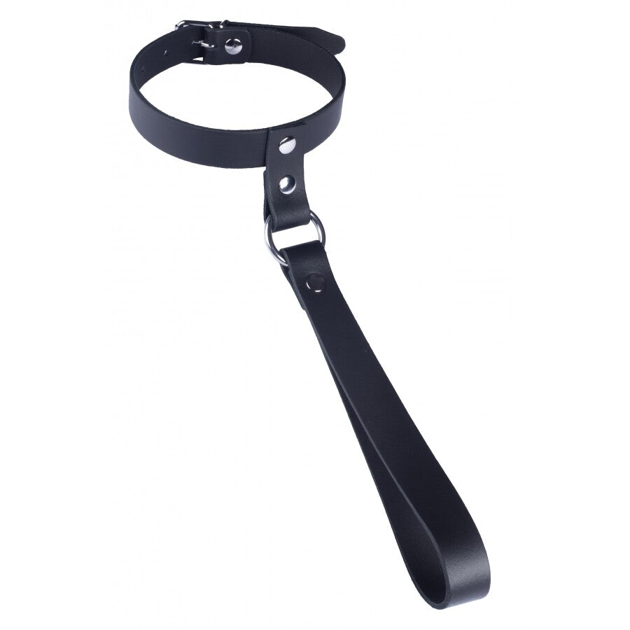 Black leather collar with short leash