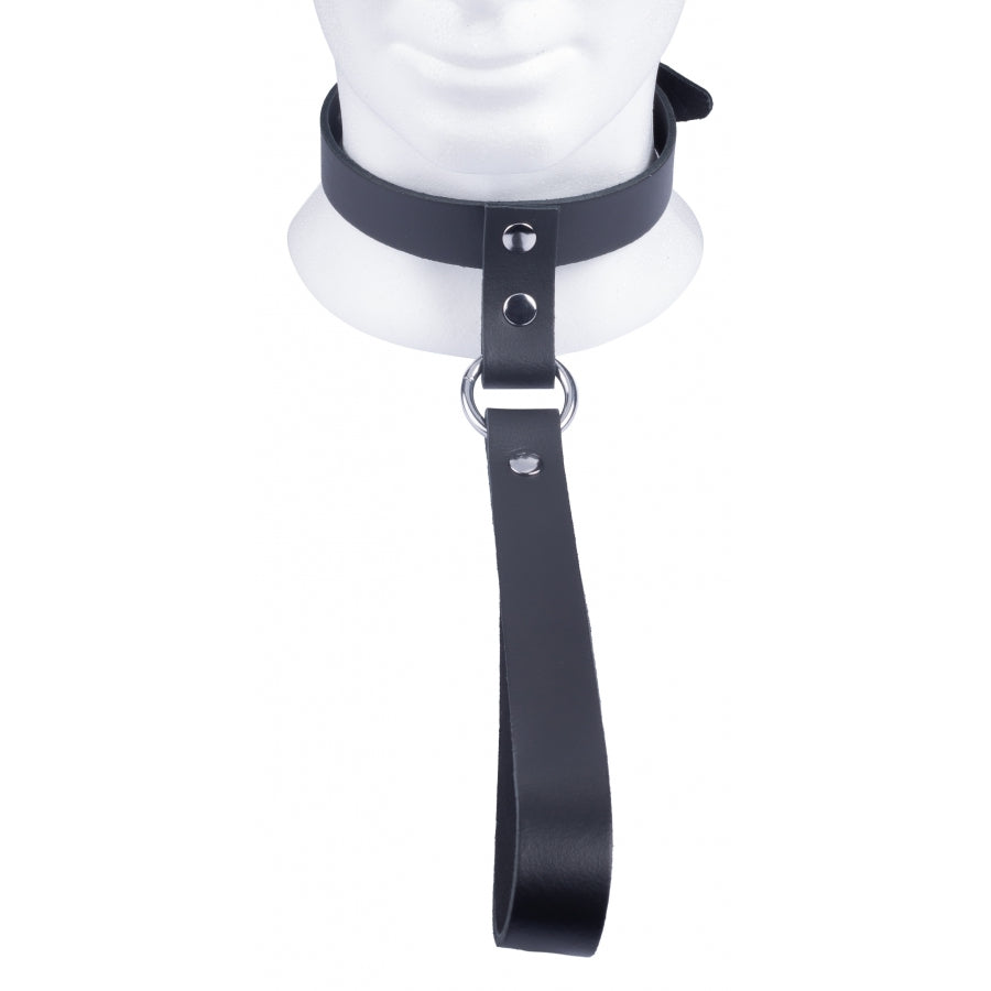 Leather collar with short leash