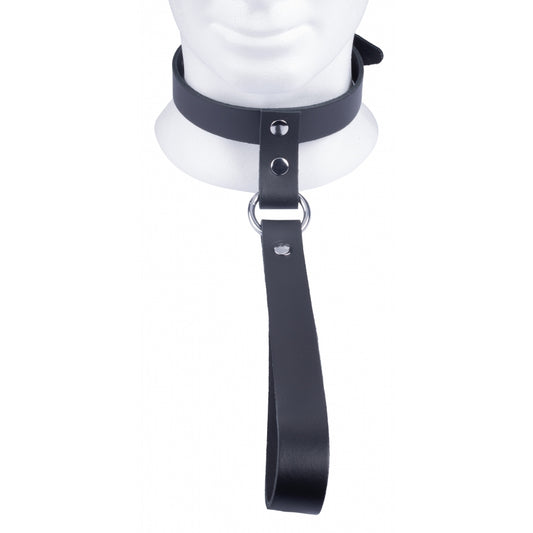 Leather collar with short leash