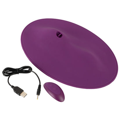 VibePad clitoral vibrator with remote and charging cable.