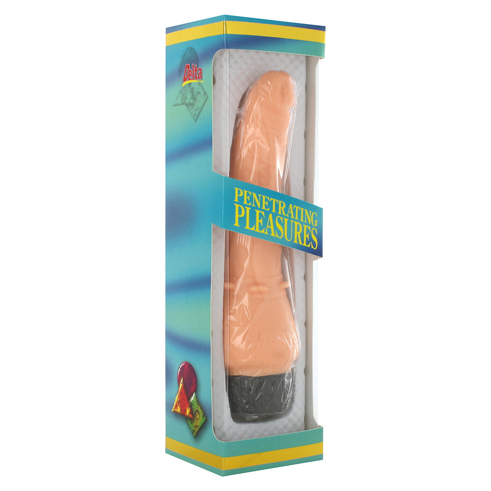 Penis-shaped vibrator in packaging.
