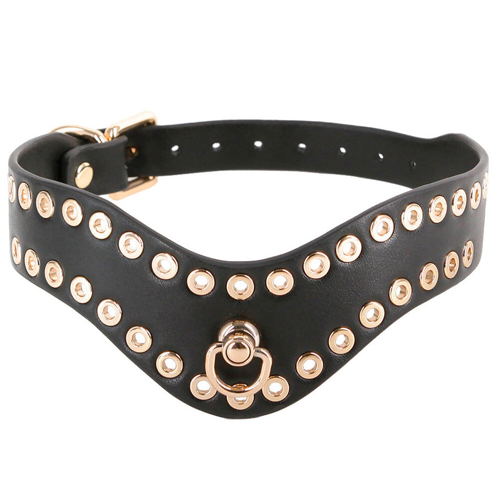 Black fetish collar with gold coloured detailing.
