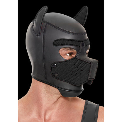 Playful puppy! Man wearing black neoprene puppy mask, ready for some fun puppy play.