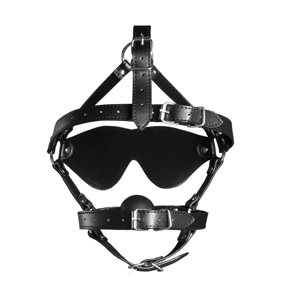 Ouch Xtreme blindfold and ball gag harness.