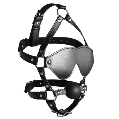 Black leather harness with a blindfold and solid ball gag.