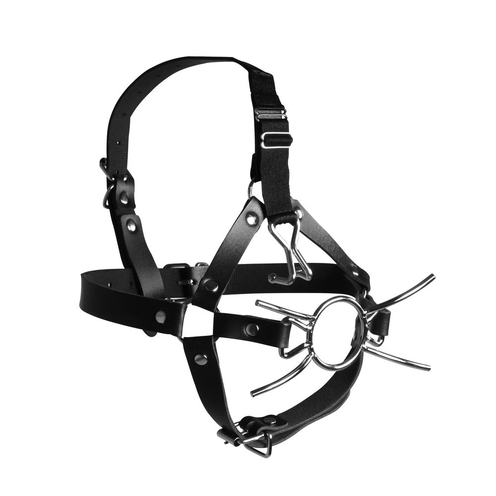 Ouch Xtreme Head Harness with Spider Gag and Nose Hooks by Shots Toys.