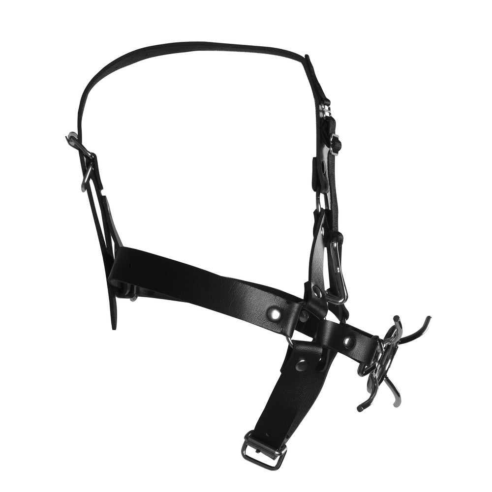 Black leather head harness with spider gag and nose hooks.
