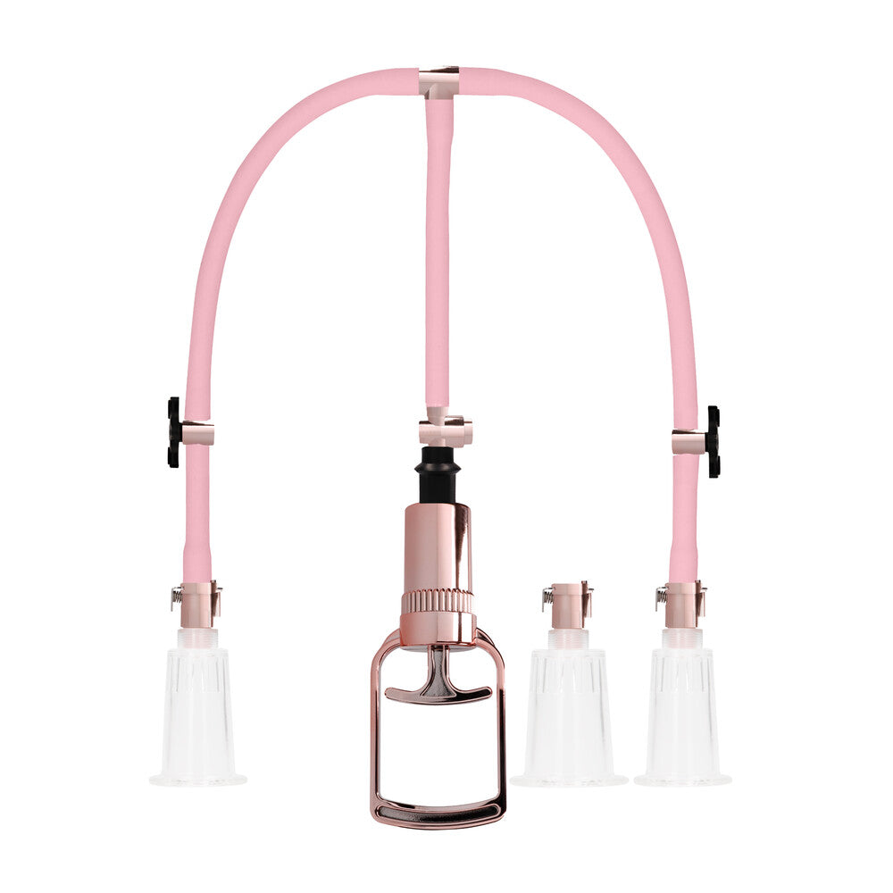 Pink clitoral and nipple pump set.