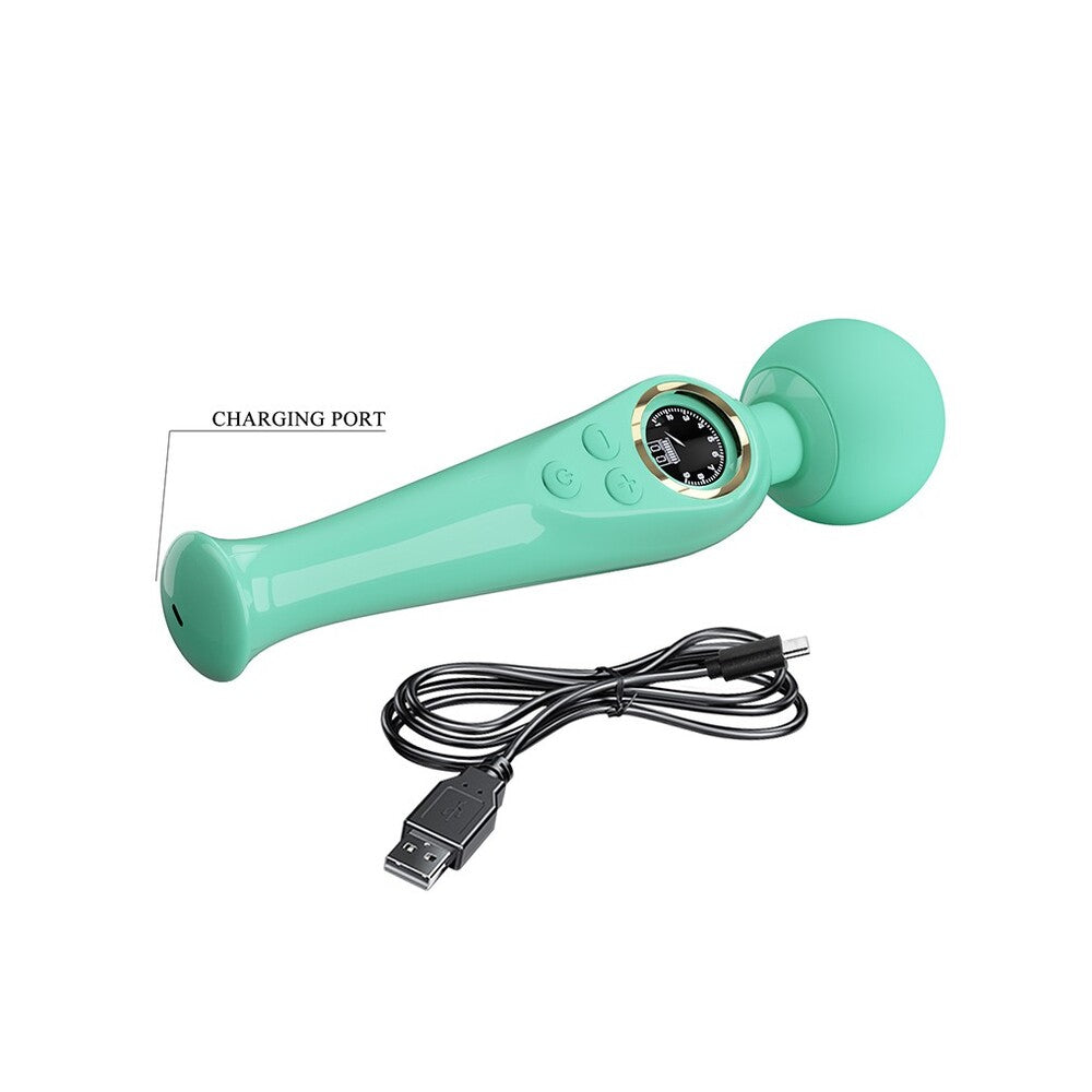 Teal Skyler wand massager with LED display and charging cable.

