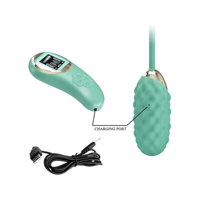 Pretty Love Vivan Remote Egg Vibrator Set