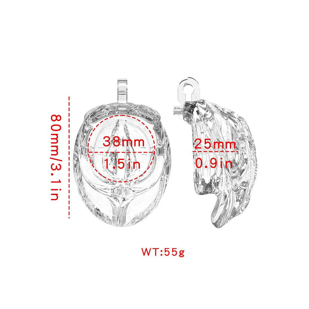 Transparent PCage for pleasure, dimensions included.
