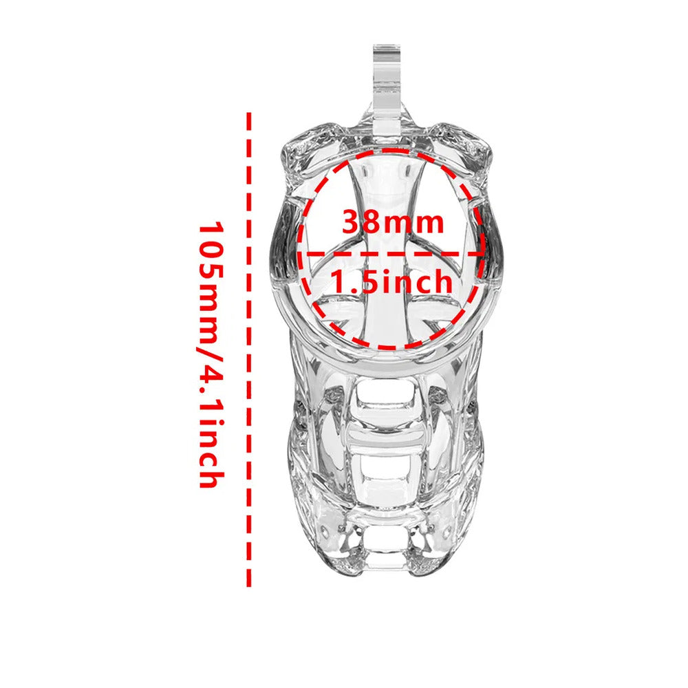 Transparent chastity cage with dimensions.