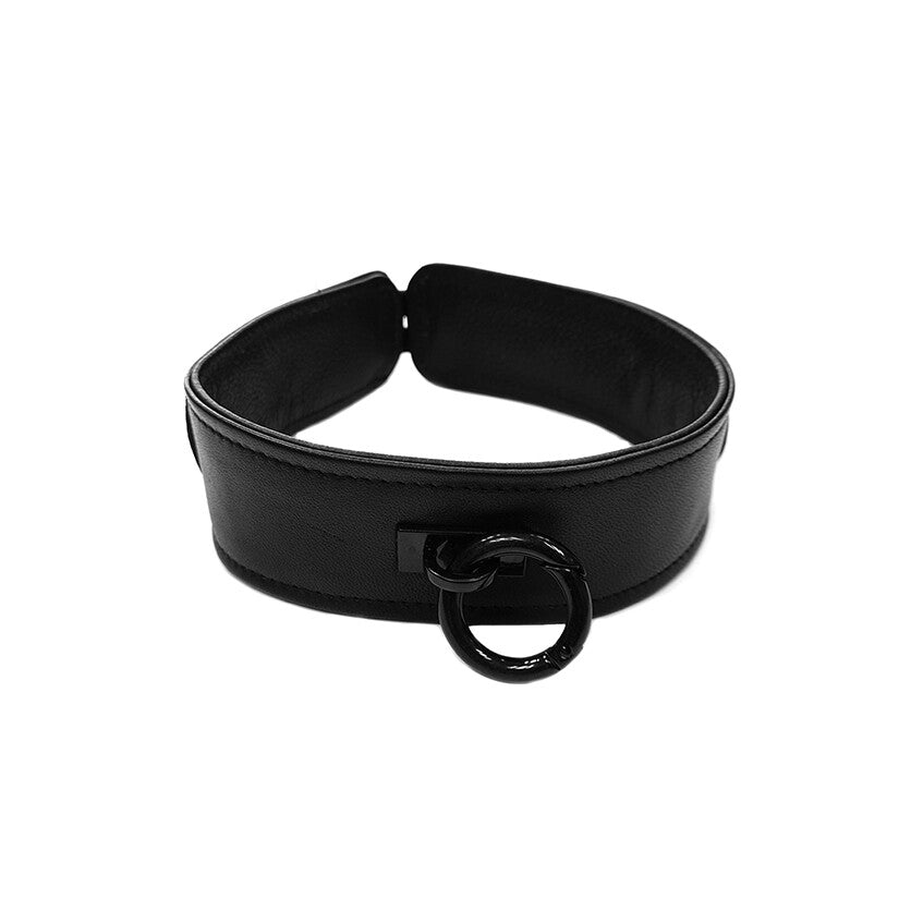 Black leather collar with ring detail.
