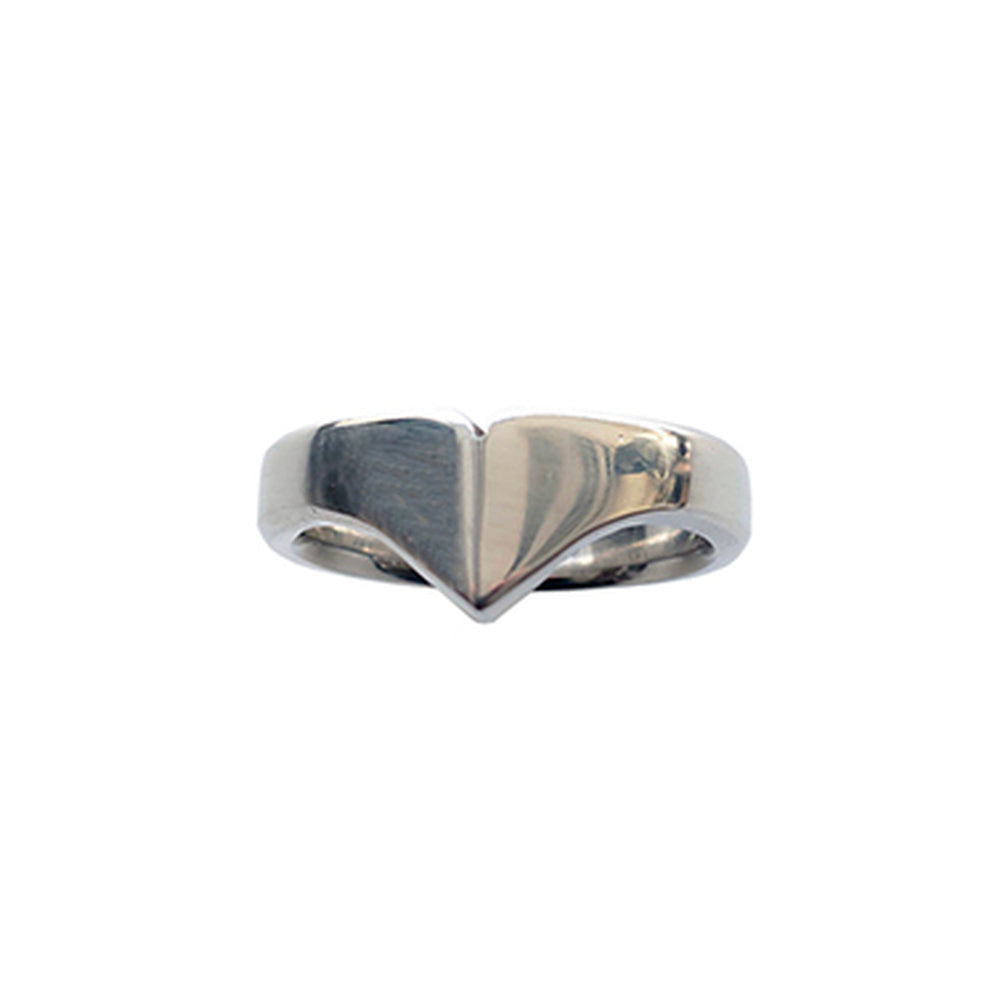 Rouge stainless steel cock ring.