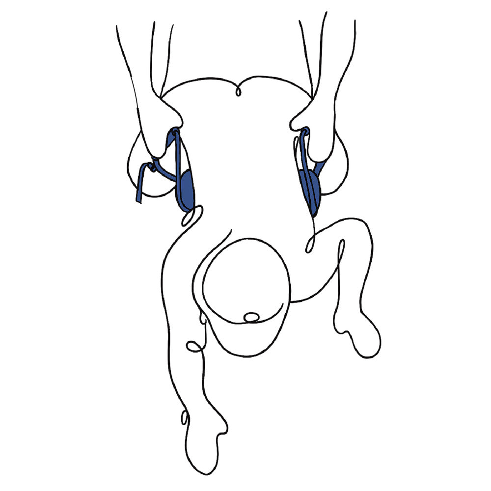 Line drawing of a person held upside down by Sportsheets Pivot Deluxe Strap.
