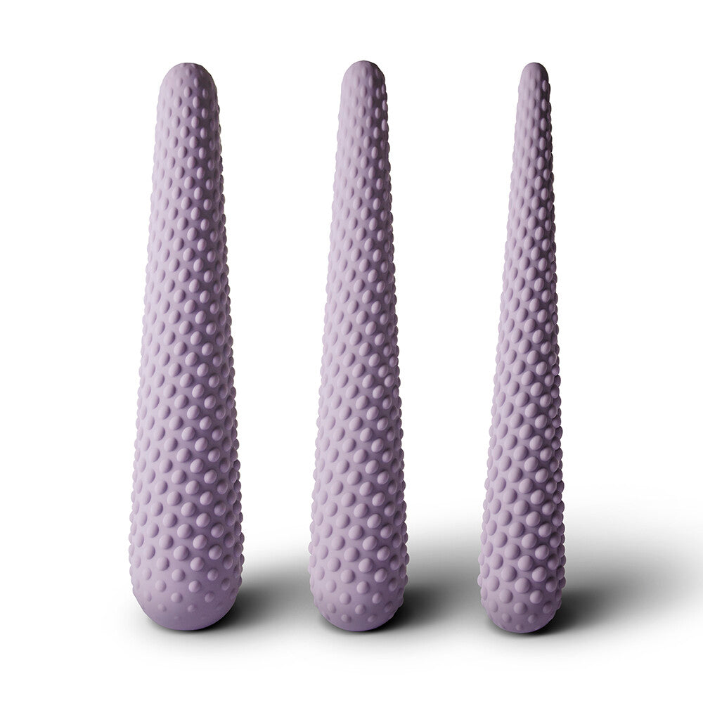 Lilac dilator set for pleasurable exploration.